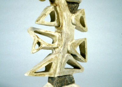 Bone Built